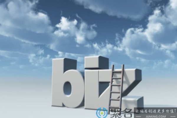 biz域名的含义是什么？