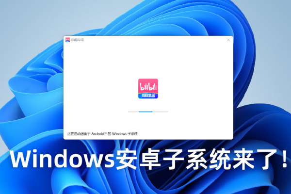 如何在Windows 11中激活并使用安卓子系统？