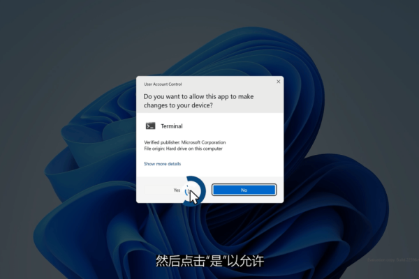 如何解决Windows 11无法连接以太网的问题？