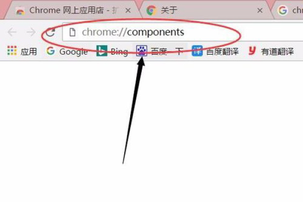 如何解决谷歌浏览器提示Adobe Flash Player不是最新版本的问题？