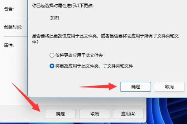 win11电脑文件夹怎么设置密码？