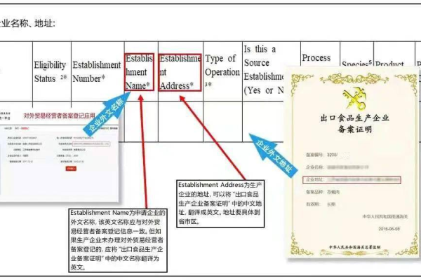 注册英文信息域名文档中包含哪些关键介绍内容？