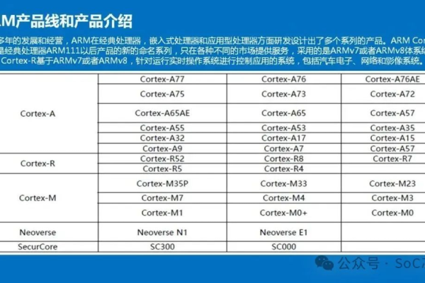 当前市场上领先的服务器芯片型号有哪些？