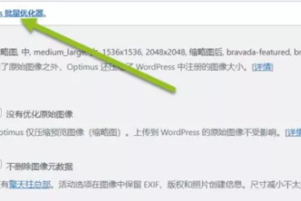 WebP格式如何优化WordPress网站速度？