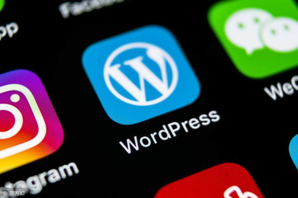 使用WordPress主机，我可以创建哪些类型的网站？