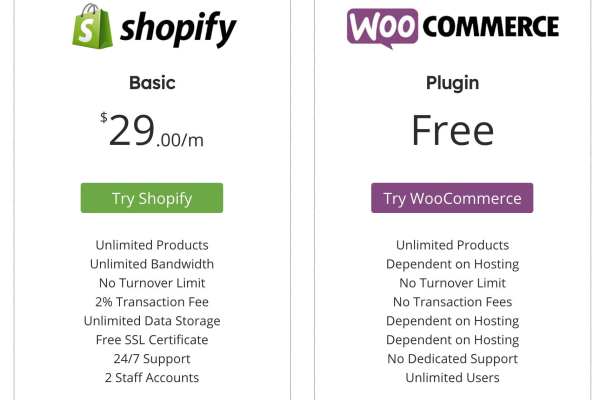 在比较WooCommerce与Ueeshop时，哪个平台更适合中国卖家搭建自己的在线商店？