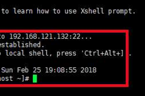如何使用Xshell进行命令输入与操作指南？