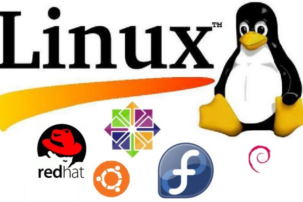 RedHat和Ubuntu，哪个Linux发行版更适合您？