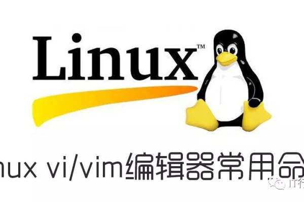 如何在Linux Vi编辑器中高效使用常用命令？