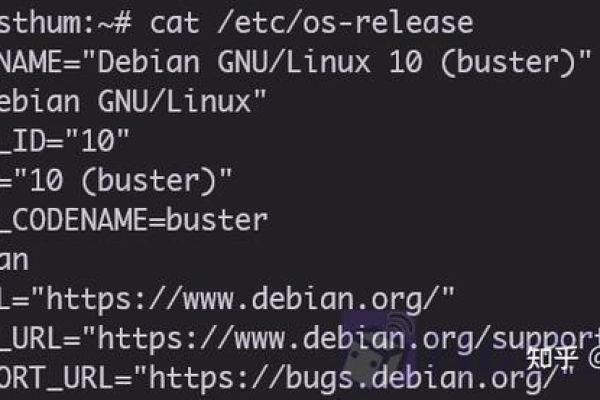 如何快速查询Debian操作系统的当前版本？