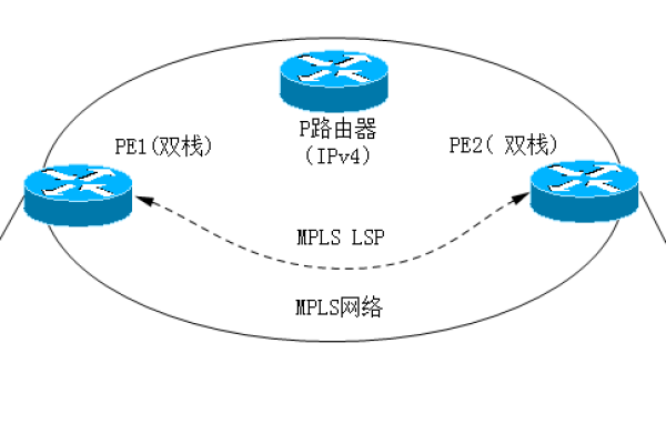 IPv6服务器，未来网络的核心还是过渡性技术？