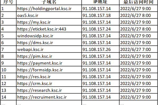 在何处可以找到查询域名注册主体类型的具体方法或工具？