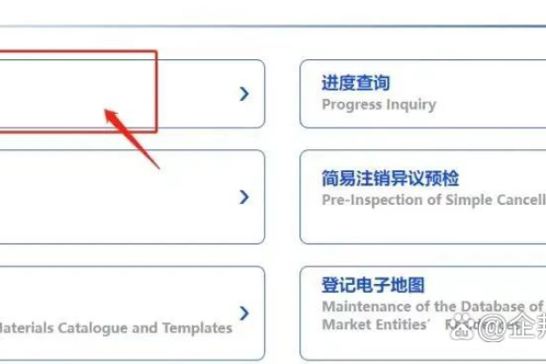 自然人注册中文域名的具体条件和流程是怎样的？