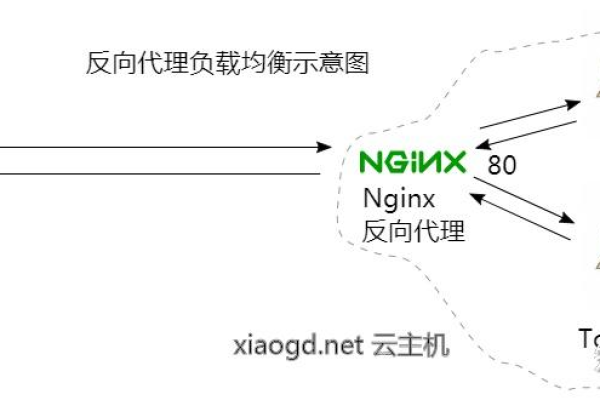 如何有效解决Nginx中反斜杠自动解码的问题？