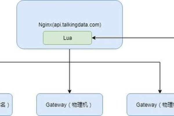 如何通过Lua脚本在Nginx中进行配置？