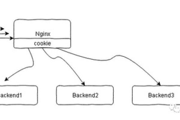 如何深入理解Nginx服务器中的Socket分割技术？