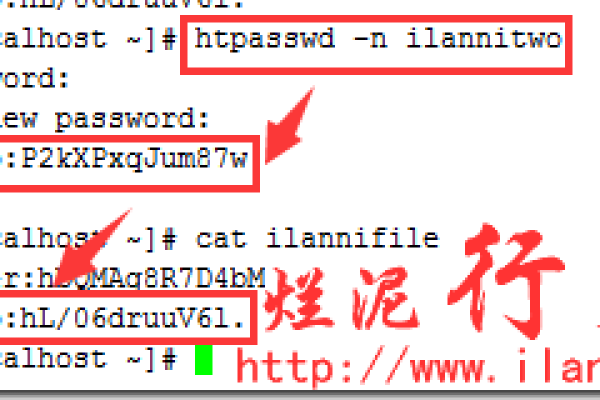 如何高效使用Apache的htpasswd工具生成和管理密码？