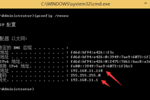 如何修复Windows XP系统中的DHCP问题以获取未被占用的IP地址？