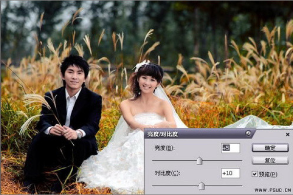 如何利用Photoshop提升婚纱照片的精致度？