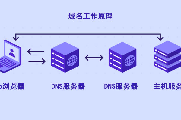 探索域名注册服务的多样性，它们都有哪些类型？