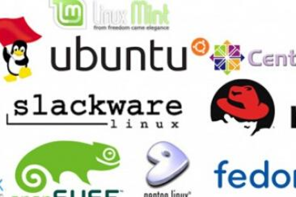 在Linux世界中，哪个发行版最受欢迎？