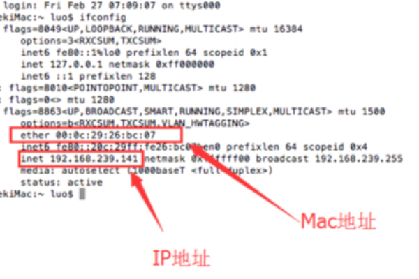 MAC地址究竟指什么？