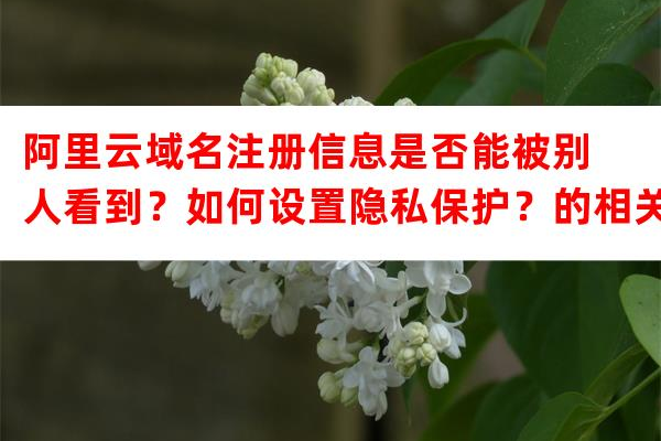 如何保护您的隐私，广州域名注册信息隐藏攻略？