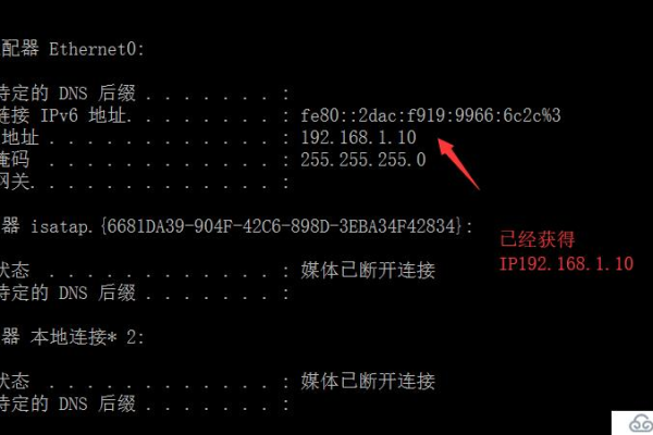 如何正确配置DHCP服务器以实现自动IP地址分配？