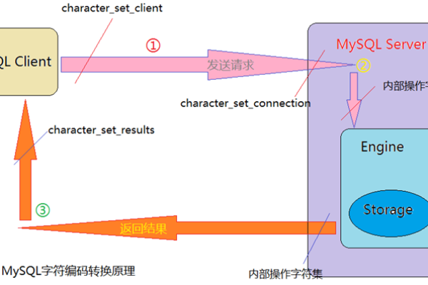 如何制定有效的MySQL数据库校对规则？