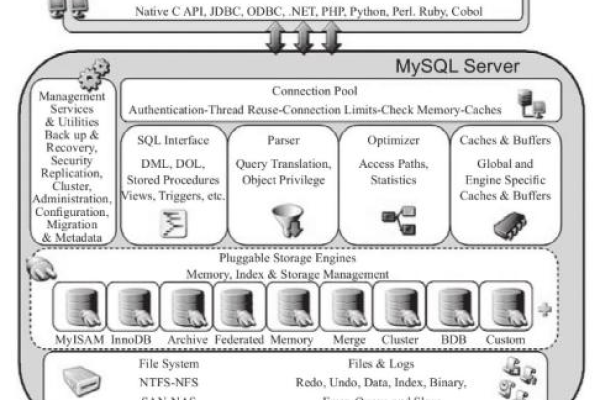 深入探索MySQL，数据库新手应了解哪些核心概念与实践技巧？