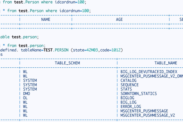 批量执行sql语句_执行SQL语句