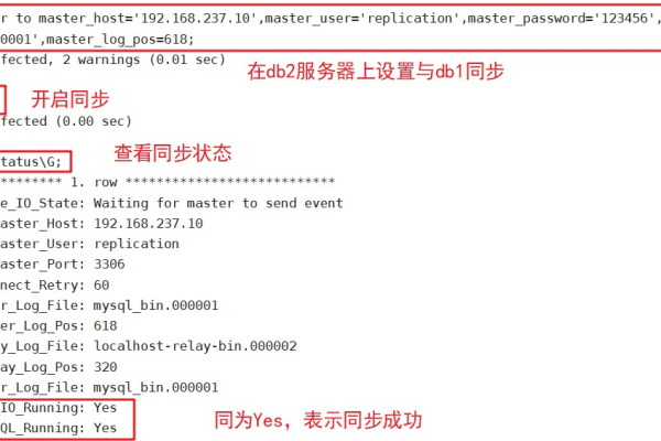 MySQL数据库的默认编码是什么？如何进行编码辅助设置？