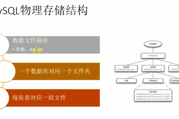 如何实现MySQL数据库的自动备份与脚本导入？