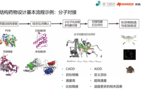 如何利用大规模数据仓库提升药物虚拟筛选的效率与准确性？