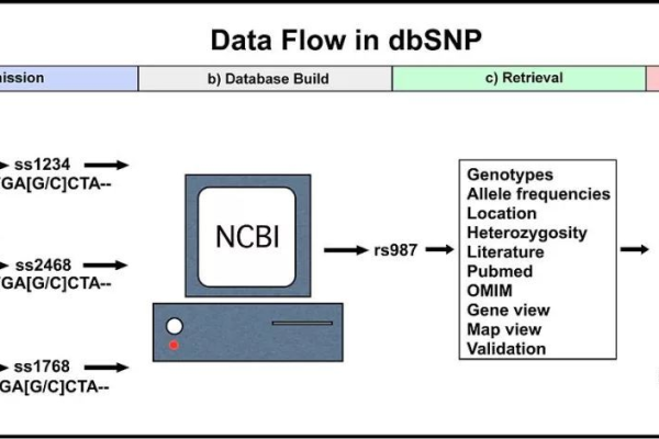 dbsnp数据库 _数据库  第1张