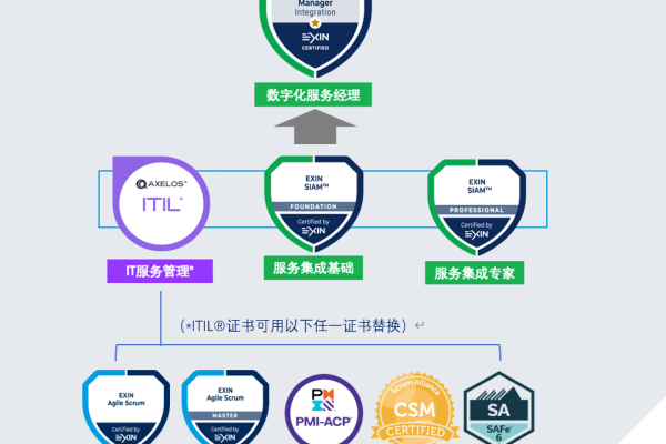 如何成功部署DSM硬件服务器至数据治理平台？