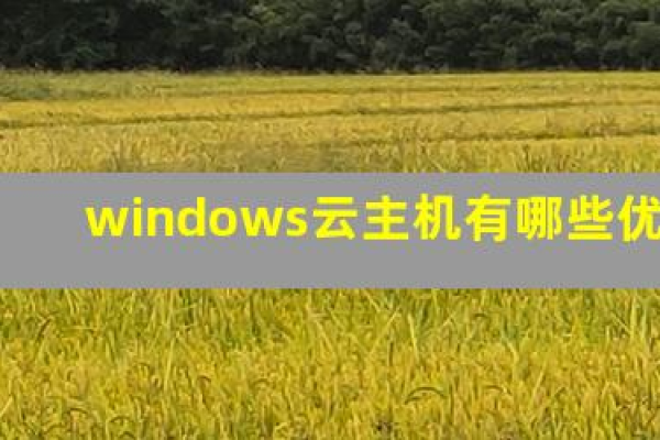 windows系统云主机租用有哪些优势