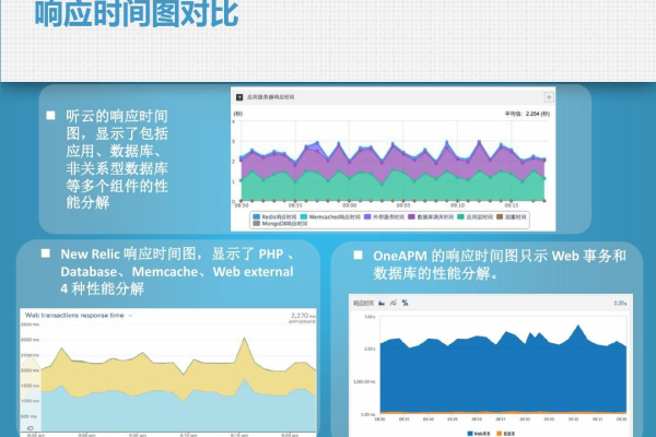 电商评论图像内容检测应用_使用APM管理电商应用