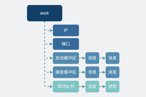 socket属于哪一层的协议