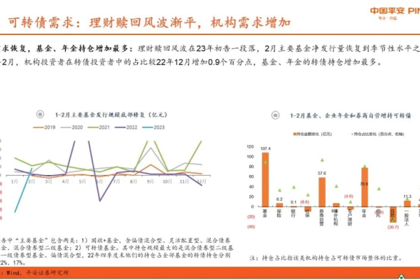 电子商务实习报告中揭示了哪些关键的设置策略？