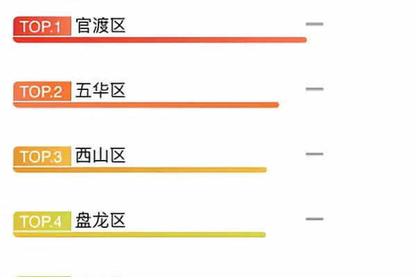 昆明网站建设首选才力_首选项