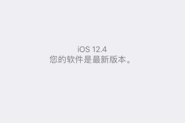 为什么苹果x不自动更新App