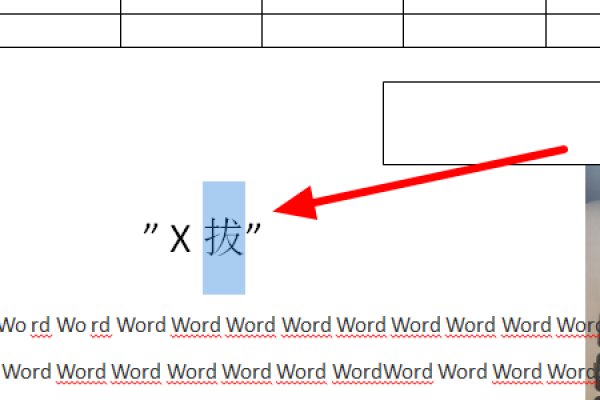 word为什么要开始按下才显示文字