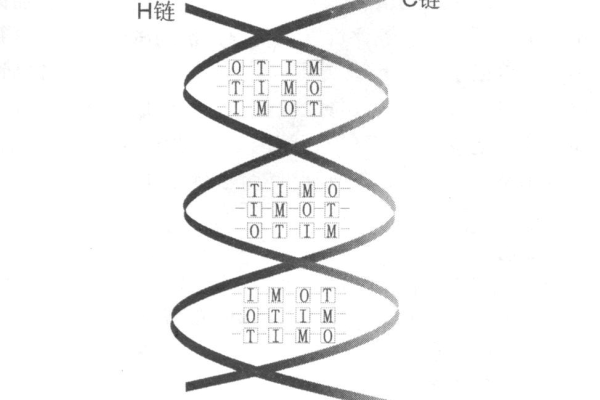 DNAT规则_DNAT规则