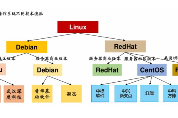 如何充分利用Debian主机的功能和优势？