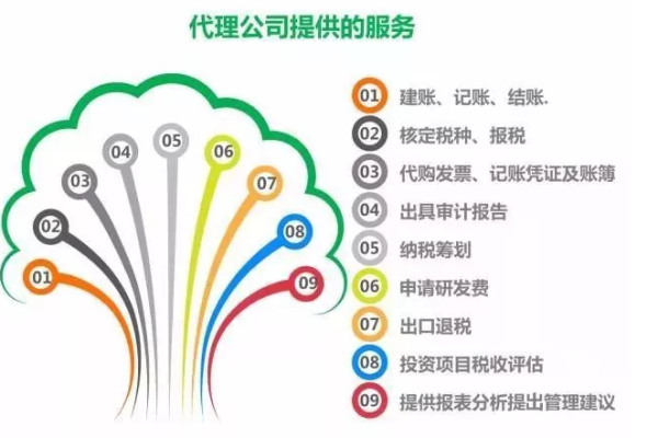 代理记账服务年费是多少，全面代理解决方案的成本分析