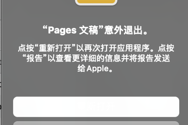 下载到pages里的文件为什么点不开