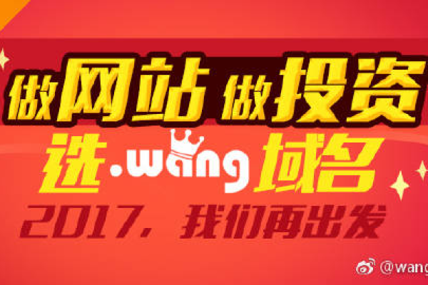 网站注册wang域名可以带来什么好处,wang域名的历史与发展