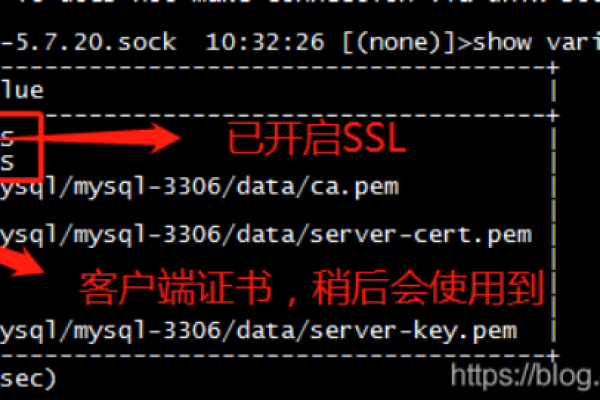 如何在登录MySQL数据库时禁用SSL连接？