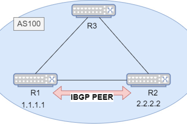 弹性公网IP的动态BGP、静态BGP、全动态BGP和优选BGP，它们之间有何关键差异？